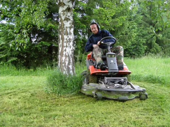 Ostatné služby v starostlivosti o zeleň
